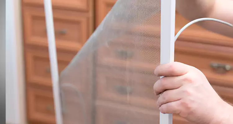 Privacy Mesh Screen Door Installation in Santa Clara, CA